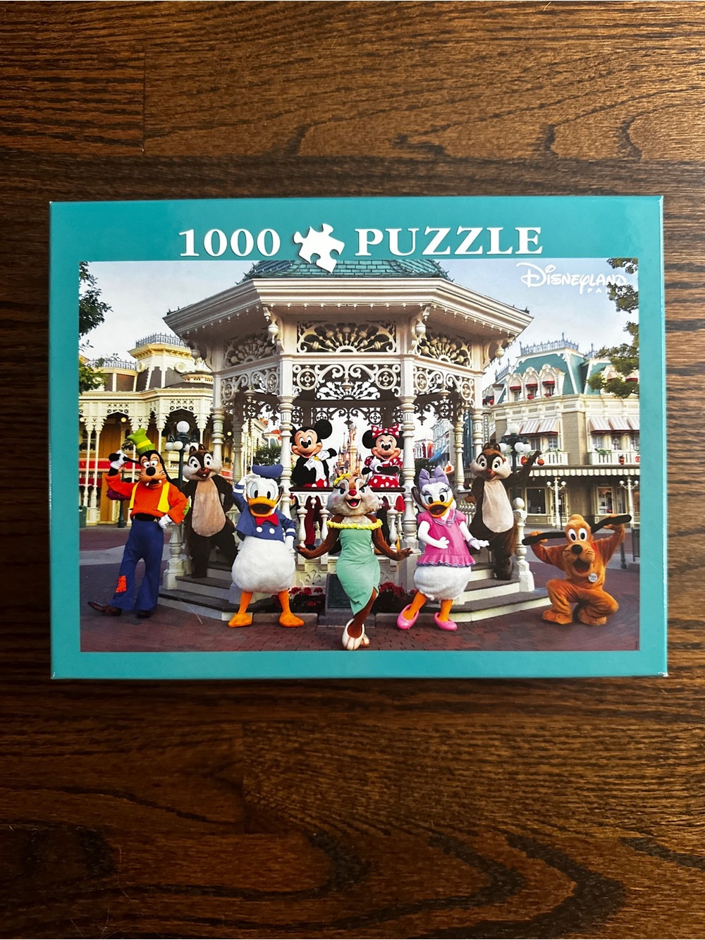 Disneyland Paris Park Puzzle 1000 pc